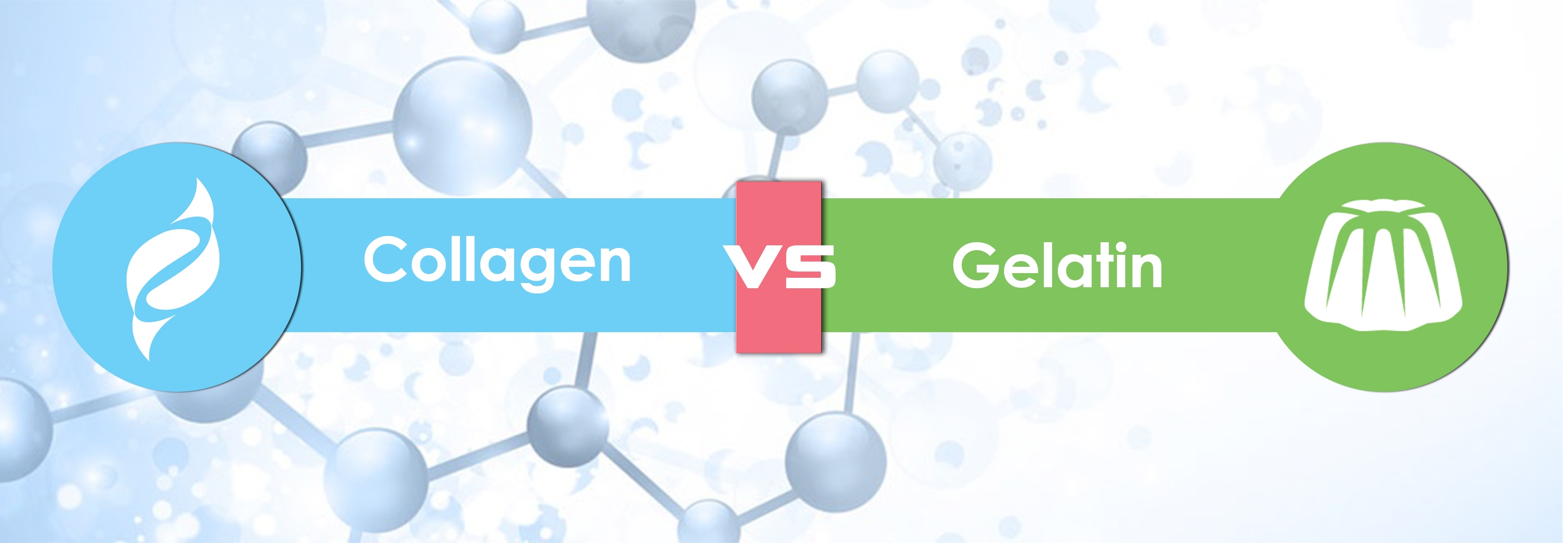 collagen vs gelatin supplement