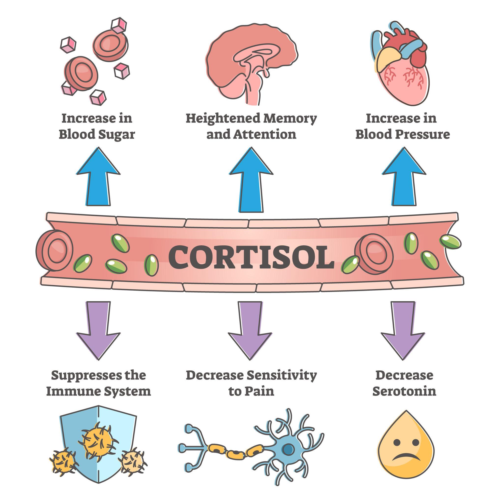 Person experiencing stress and fatigue related to cortisol imbalance
