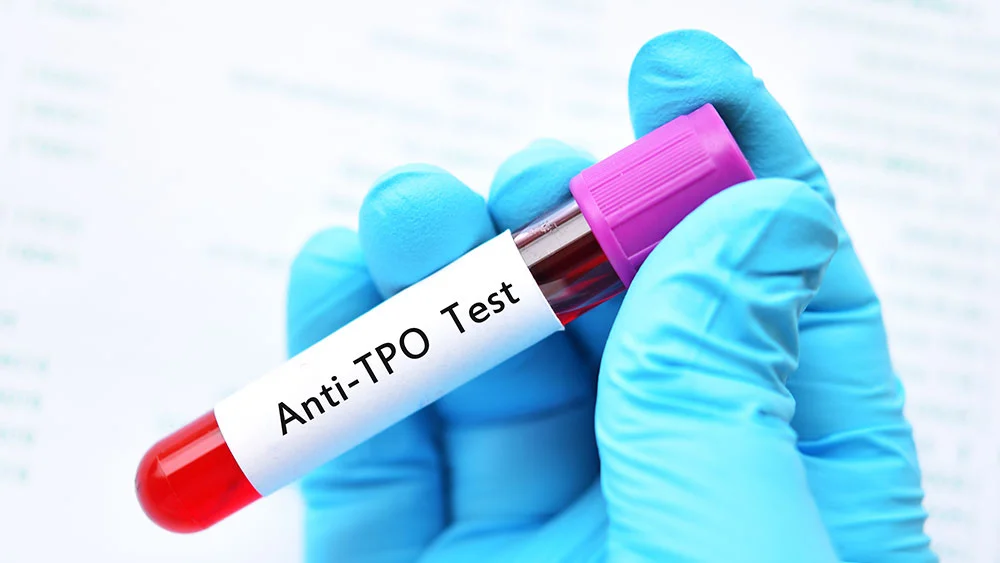 TPO and TGB Thyroid Antibody Testing | Total Health Center VB