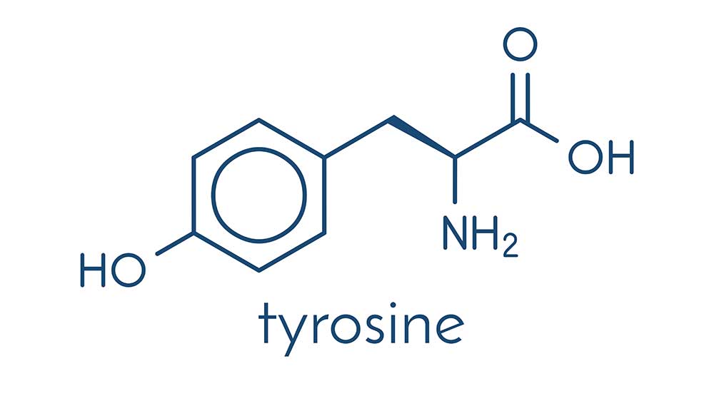 Tyrosine and Thyroid Health | Total Health Center VB
