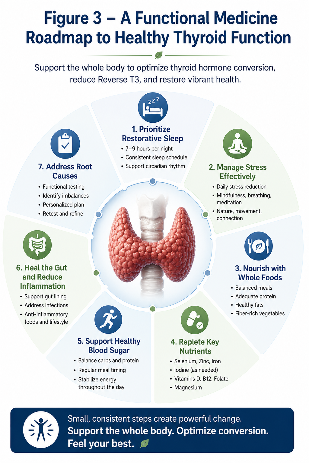 Figure 3 showing a functional medicine roadmap for supporting healthy thyroid hormone conversion through sleep, stress management, nutrition, blood sugar balance, gut health, nutrient status, and identifying root causes.