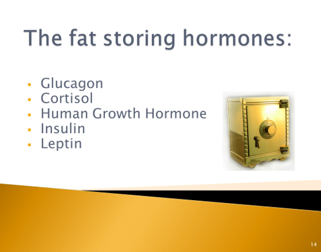 Hormones and Weight Loss - Fat Storing Hormones