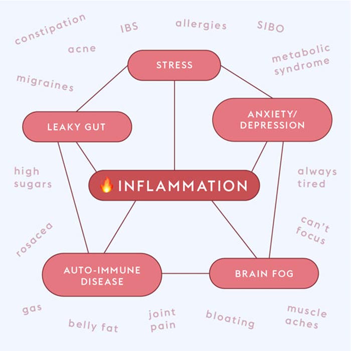 Inflammation and Autoimmune Disease - Total Health Center VB