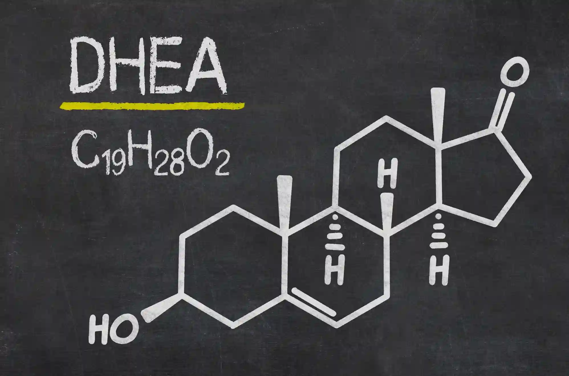 DHEA produced in adrenal glands, its health impact, and supplementation risks