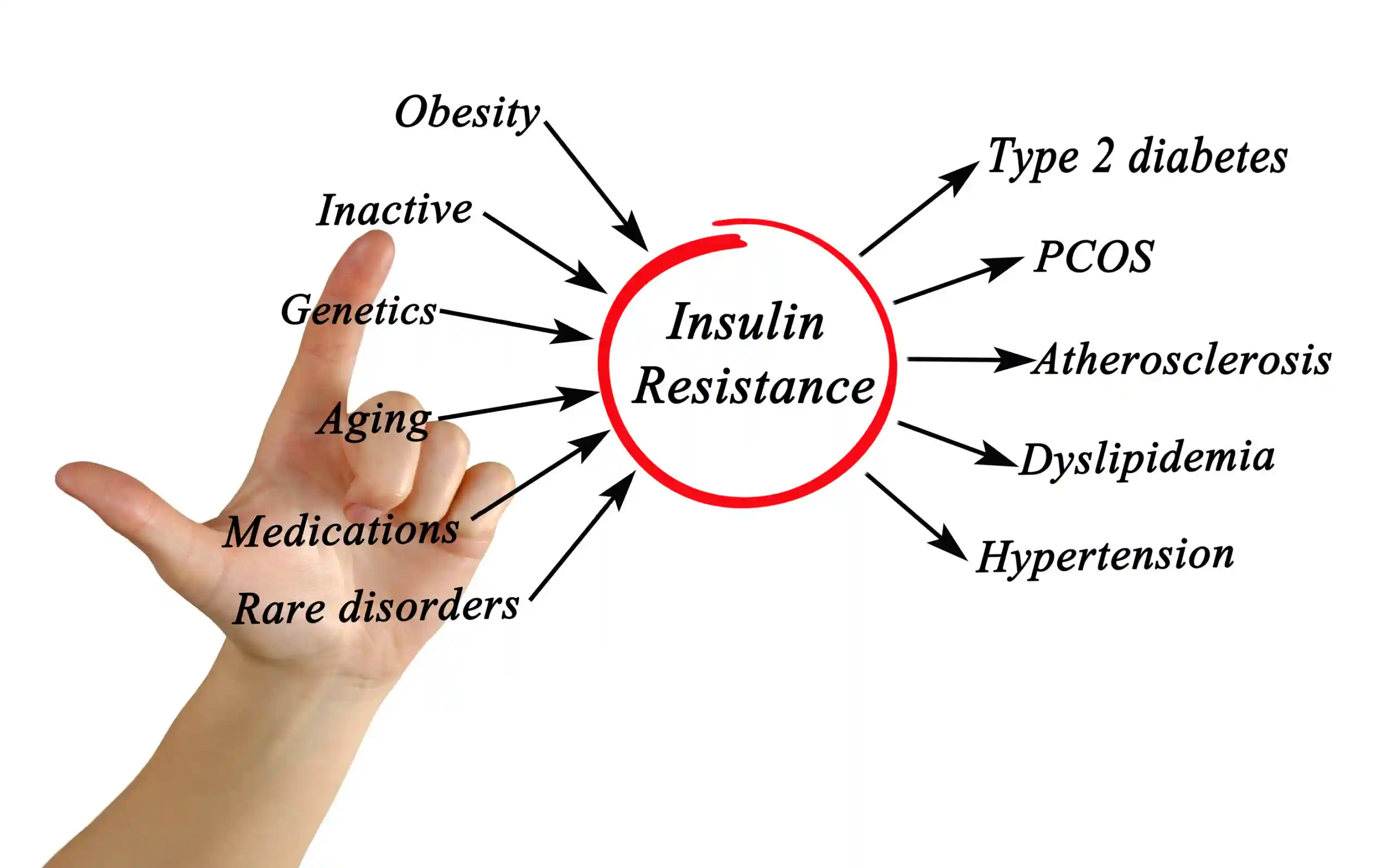 PCOS & Weight Loss