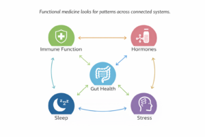 Simple diagram showing connections between gut health, hormones, immune function, sleep, and stress.