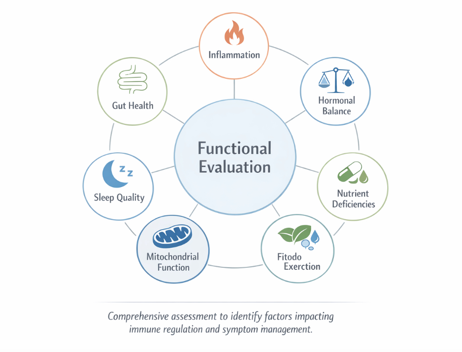Infographic showing functional medicine evaluation for autoimmune support, with factors like gut health, inflammation, hormonal balance, nutrient deficiencies, mitochondrial function, and sleep quality.