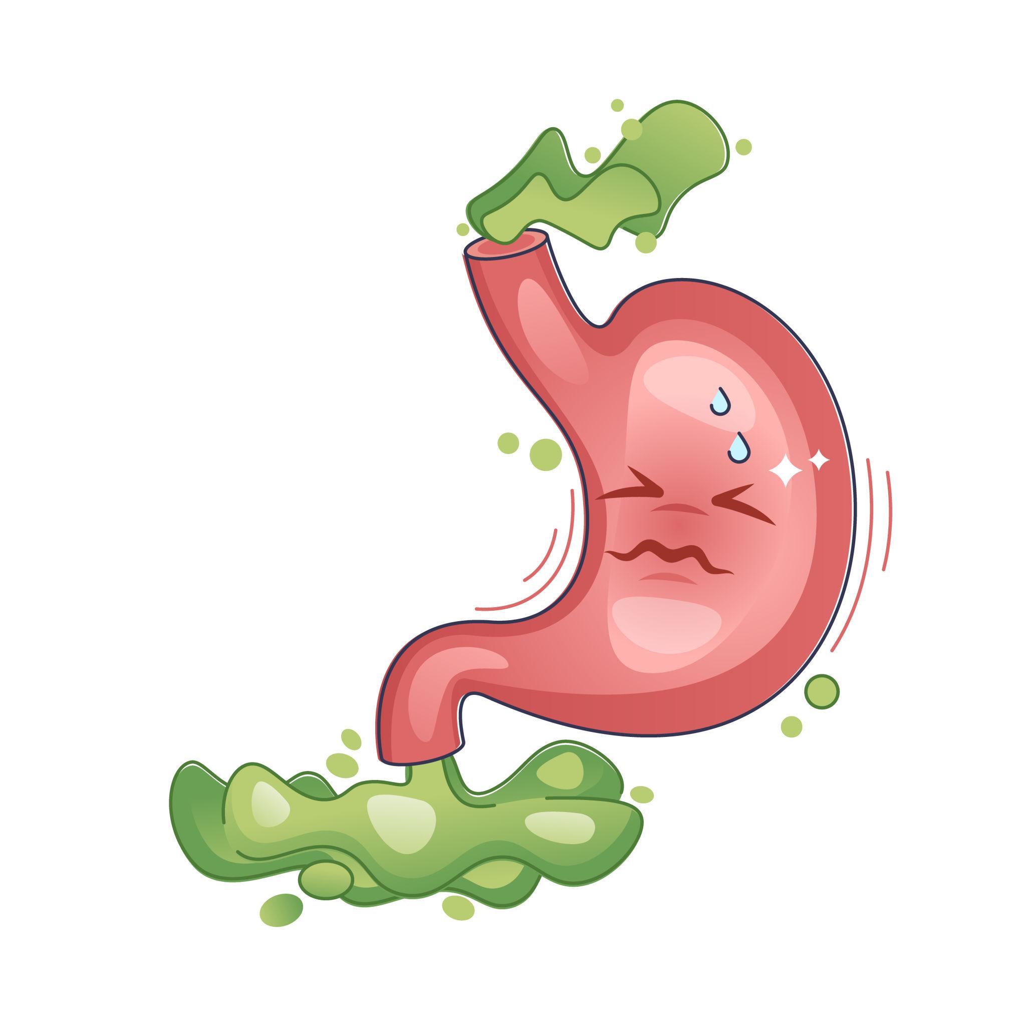 Digestive imbalance and bacterial fermentation contributing to chronic bloating symptoms