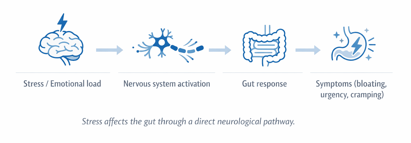 Infographic showing how stress leads to gut symptoms through the nervous system.