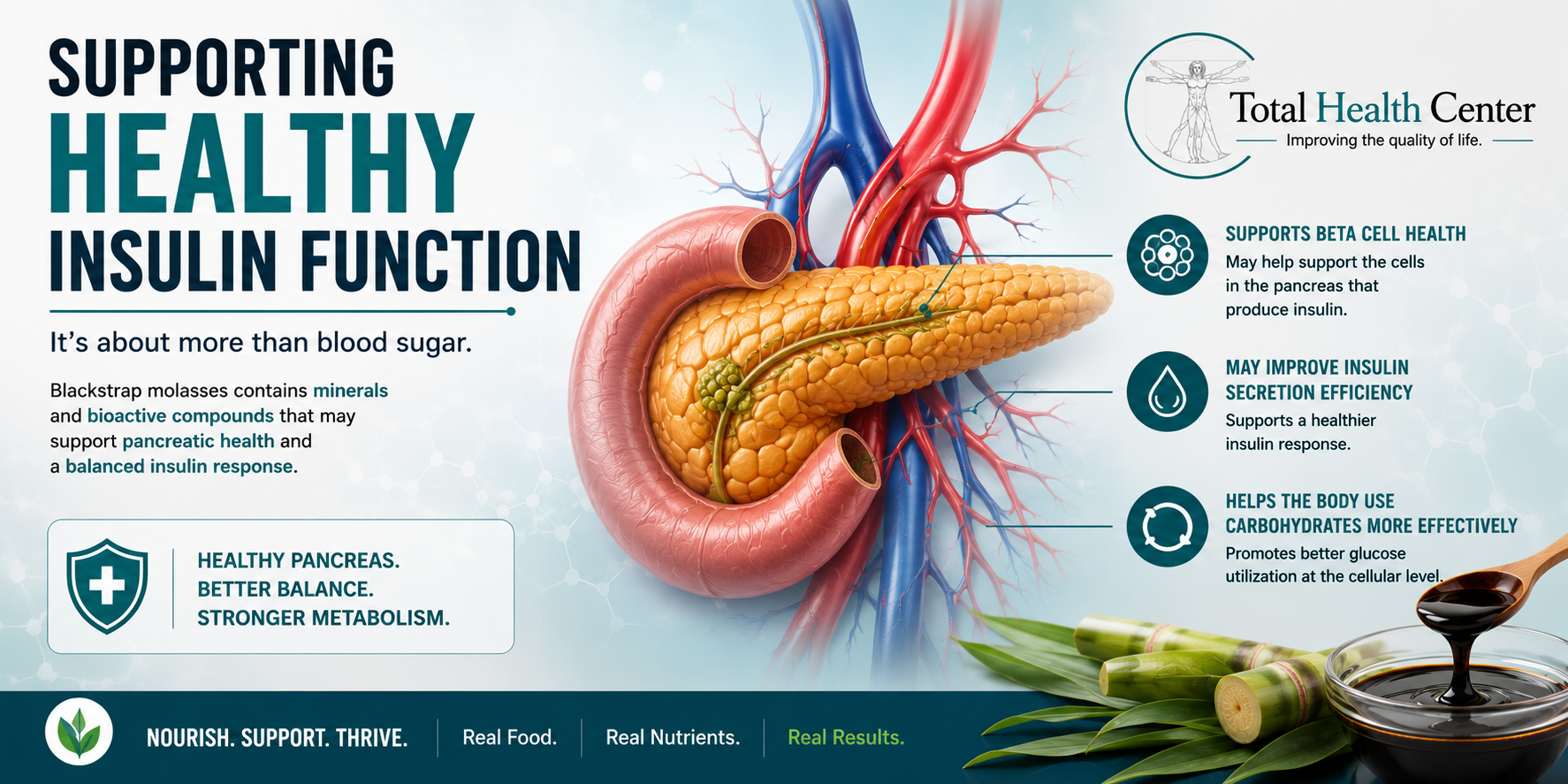 Supporting healthy insulin function with pancreatic health illustration and blackstrap molasses functional medicine concept