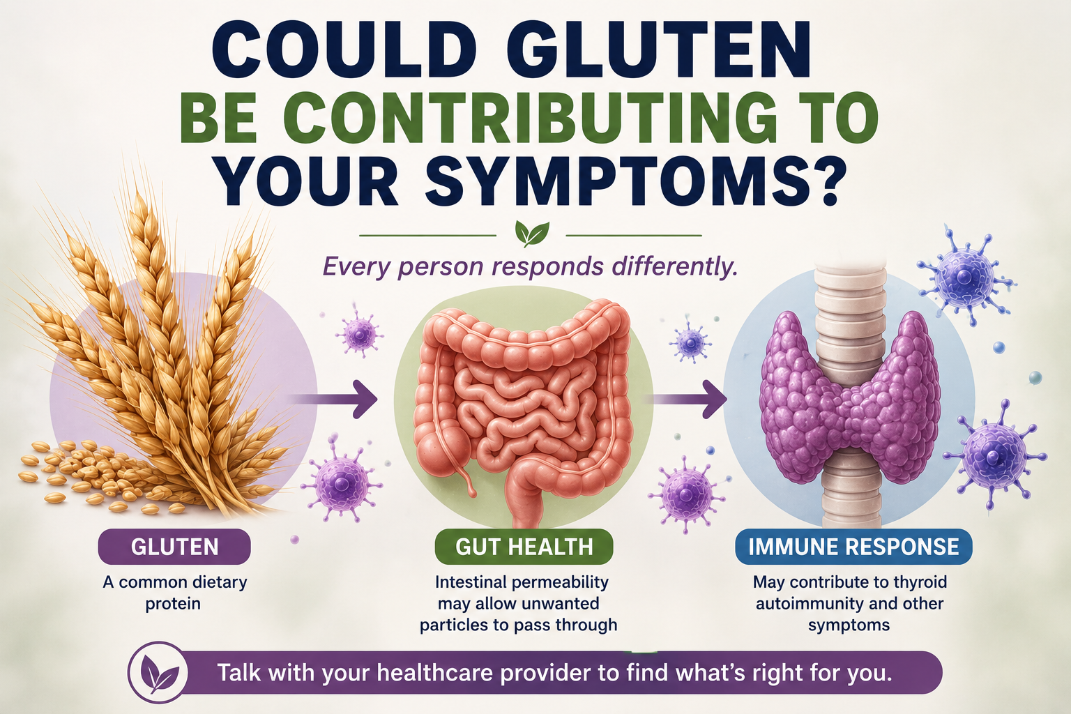Educational illustration showing the relationship between gluten gut health immune function and thyroid health in susceptible individuals