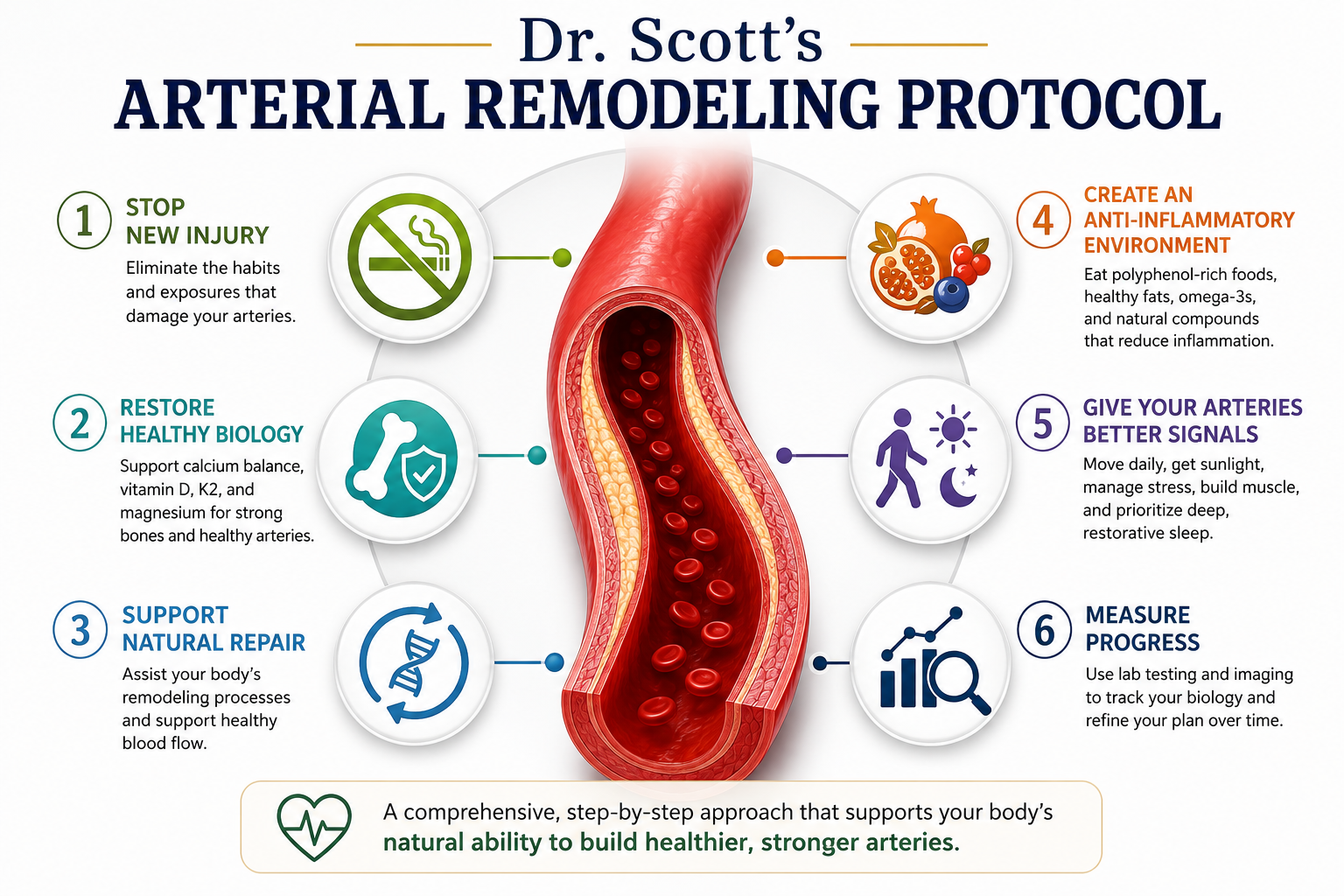Medical illustration showing Dr. Scott's six-step arterial remodeling protocol with a healthy artery surrounded by six key pillars including reducing injury, restoring healthy biology, supporting natural repair, anti-inflammatory nutrition, healthy lifestyle habits, and measuring progress.