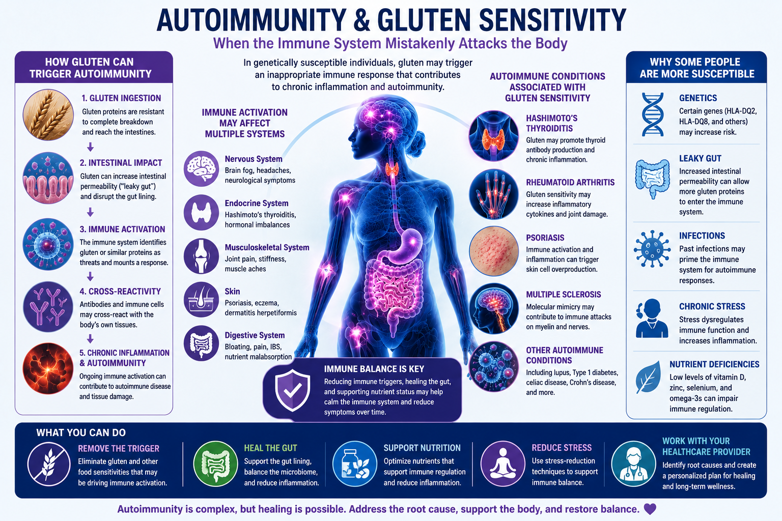 Medical infographic illustrating the relationship between gluten sensitivity immune activation chronic inflammation and autoimmune diseases
