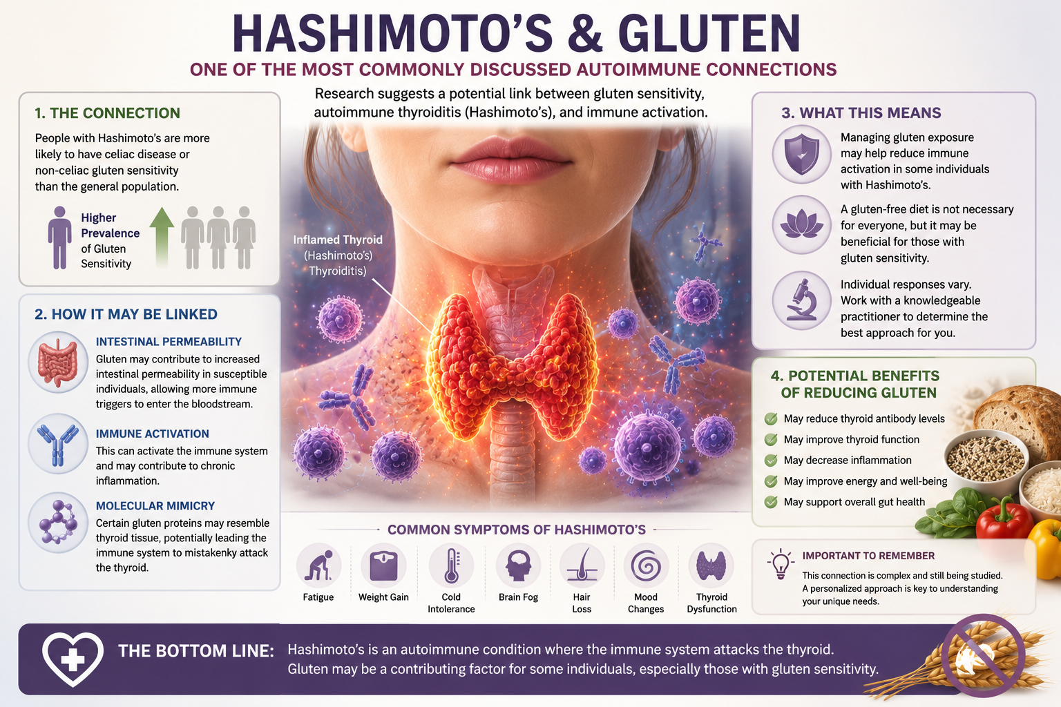 Medical illustration showing the relationship between Hashimoto's thyroiditis, immune function, thyroid health, and gluten sensitivity