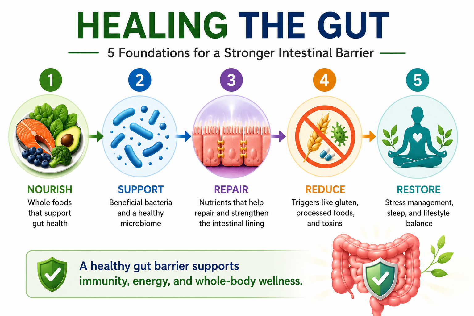 Educational infographic illustrating five foundational strategies that support gut healing and a healthy intestinal barrier.