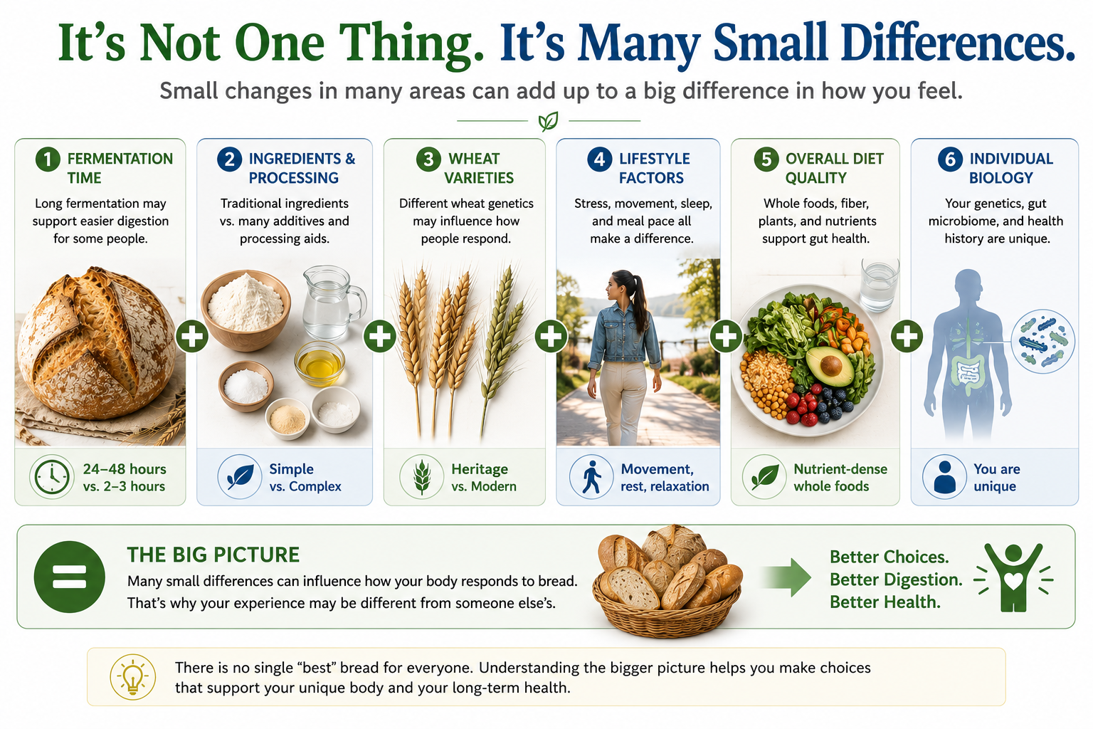 Educational infographic illustrating how fermentation, ingredients, wheat varieties, lifestyle, diet quality, and individual biology all influence bread tolerance.