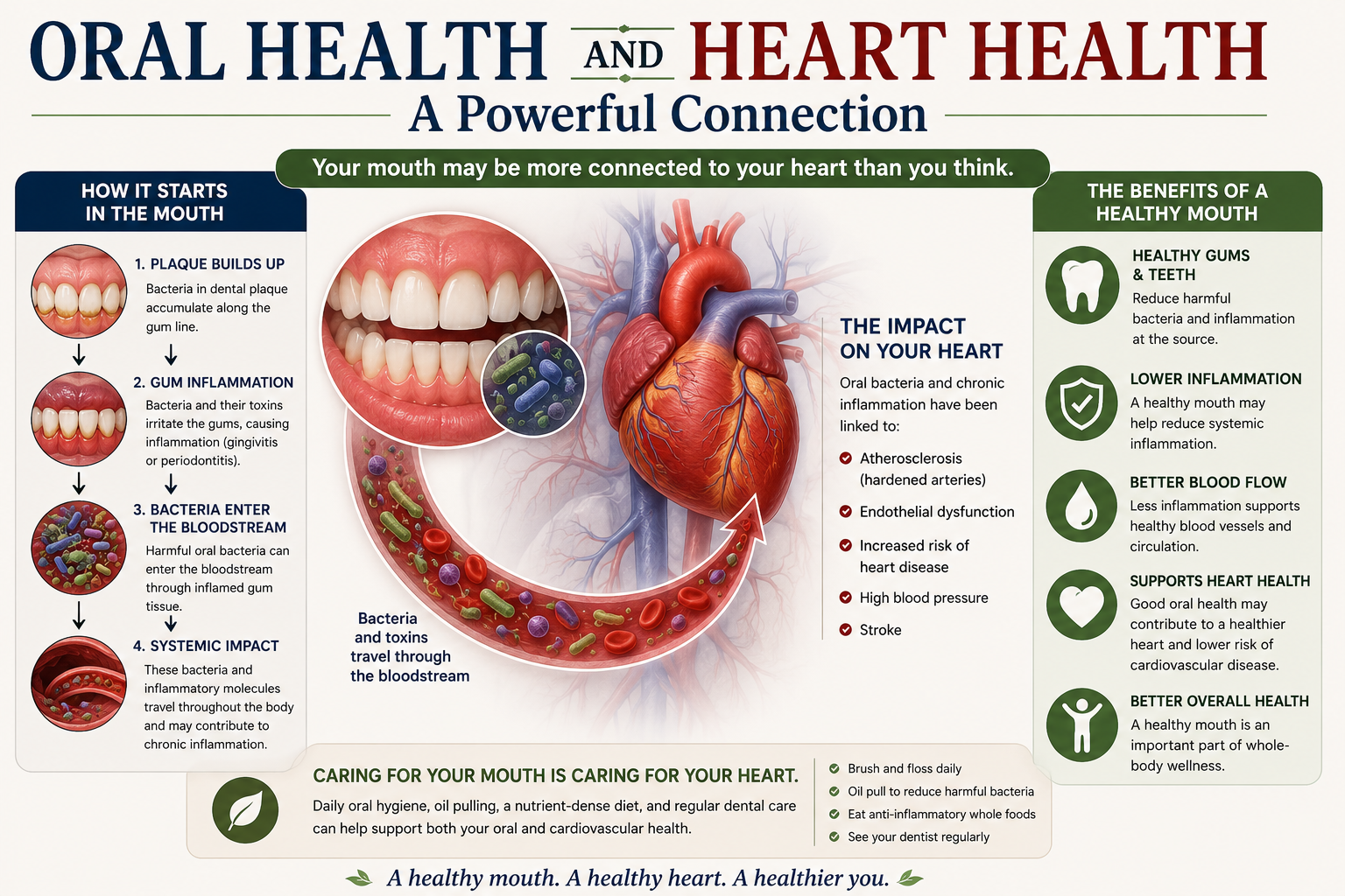 Infographic illustrating the connection between oral health and heart health, showing how gum inflammation and oral bacteria may contribute to systemic inflammation and cardiovascular disease.