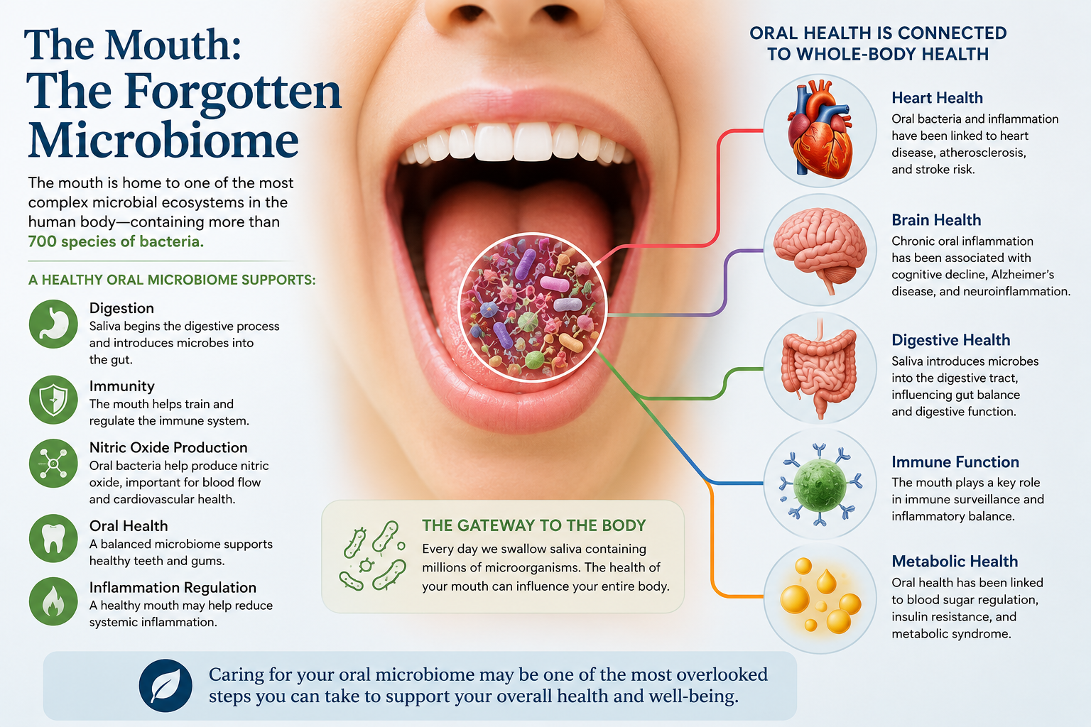 Illustration showing the connection between the oral microbiome and whole-body health, including cardiovascular, brain, digestive, immune, and metabolic health.