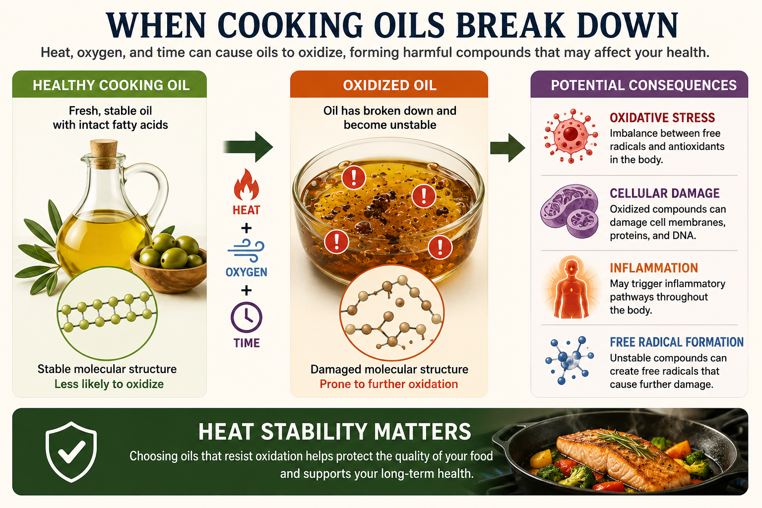 Infographic showing how cooking oils can oxidize when exposed to heat, oxygen, and time, potentially contributing to oxidative stress and inflammation.