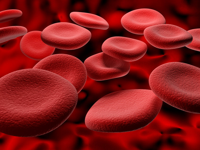 Diabetes FAQ