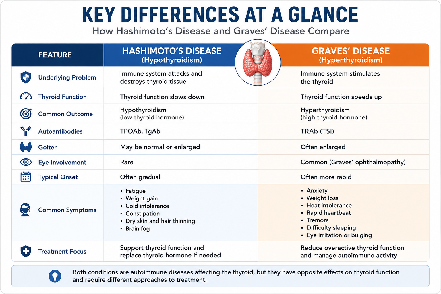 Comparison chart showing the key differences between Hashimoto's disease and Graves' disease, including thyroid function, symptoms, antibodies, eye involvement, and treatment focus.
