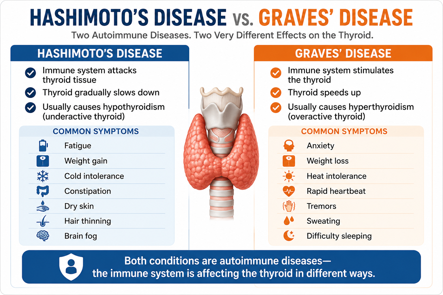 Comparison chart showing the differences between Hashimoto's disease and Graves' disease, including symptoms and how each autoimmune condition affects thyroid function.