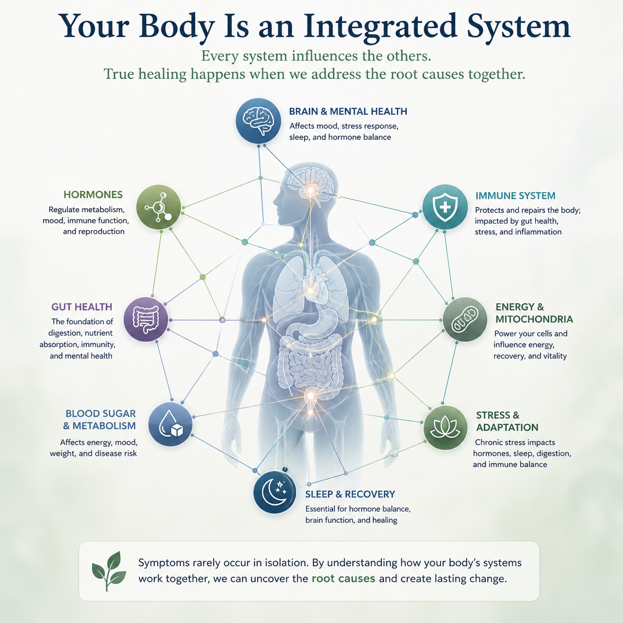The body's systems are interconnected in functional medicine.