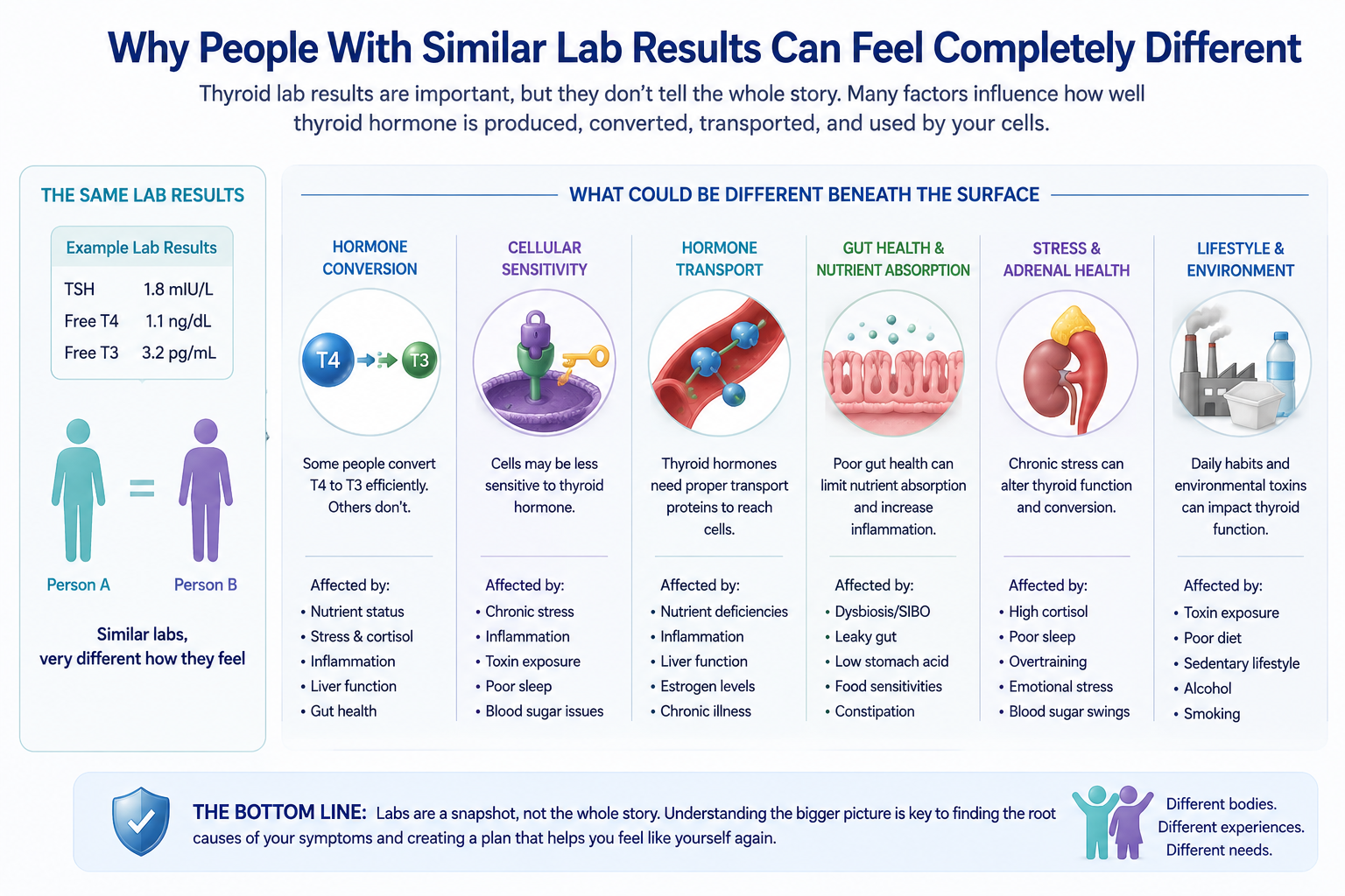 Infographic illustrating why two people with similar thyroid laboratory results can experience very different symptoms due to differences in hormone conversion, cellular sensitivity, nutrient status, gut health, stress, inflammation, and other underlying factors.