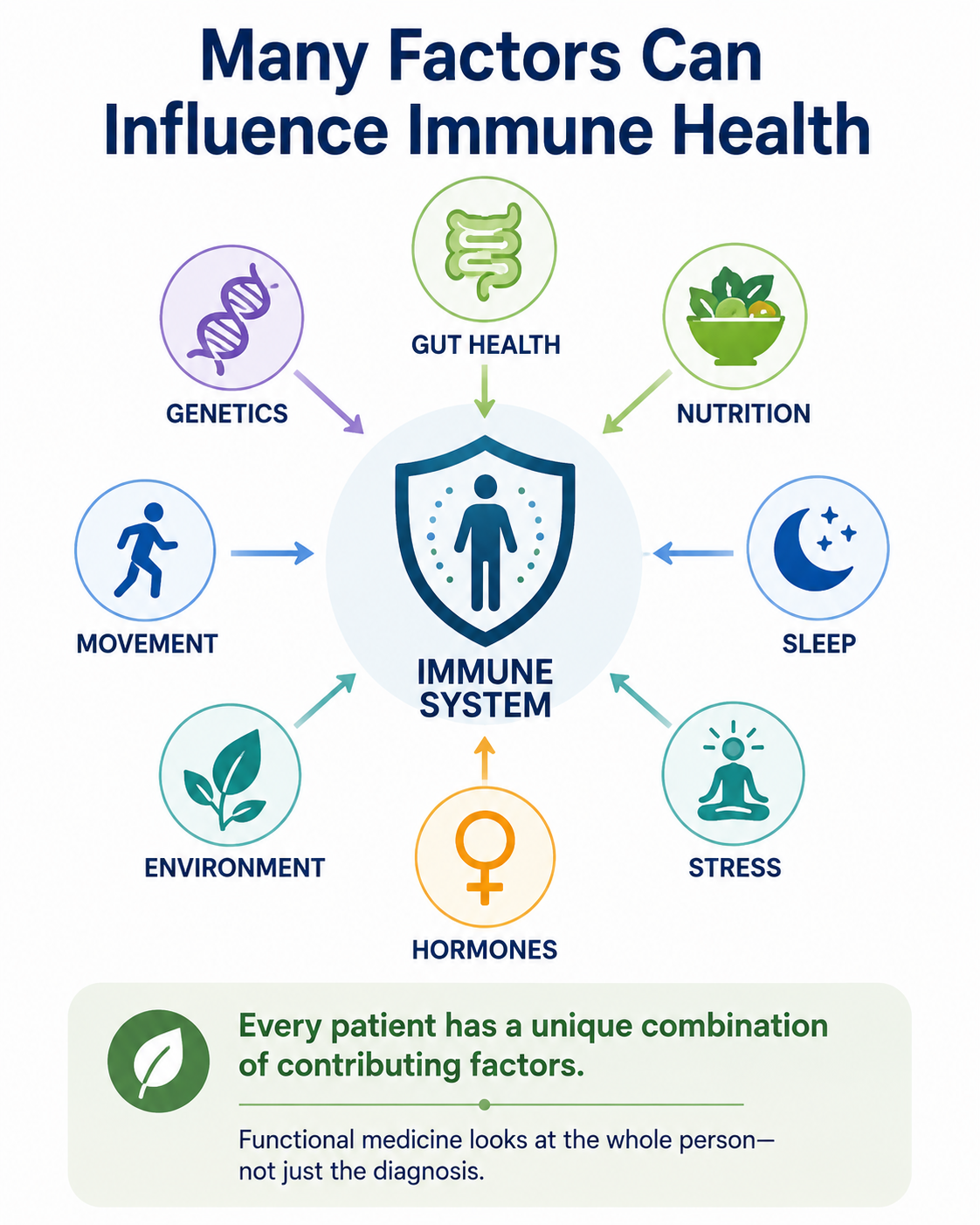 Illustration showing how gut health, nutrition, sleep, stress, hormones, genetics, environment, and movement can influence immune system health.